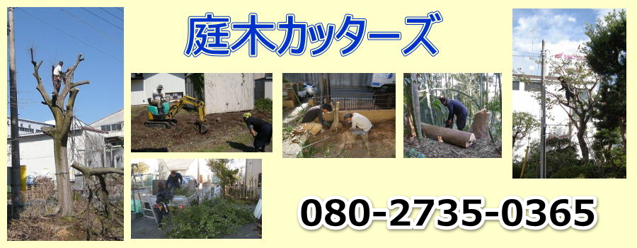 庭木カッターズ | 赤井川村の庭木の伐採を承ります。